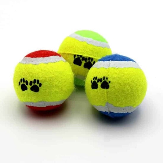 Tennisbälle 3er Set Hundespielzeug Wurfspielzeug
