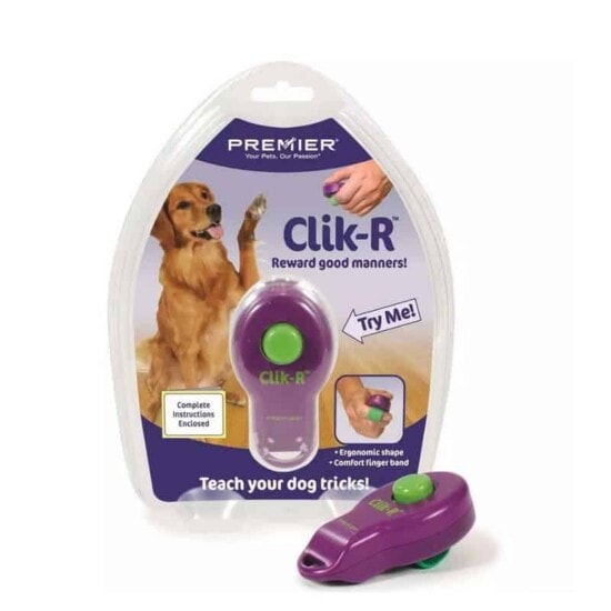 Clicktrainer PetSafe lila/grün Clik-R